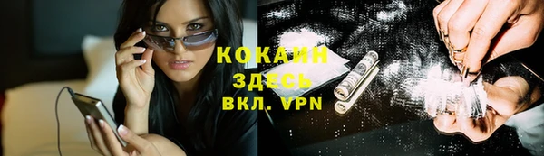 винт Армянск